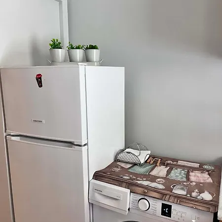 μιχαλαρεα 키파리씨아